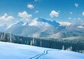 Morning winter calm mountain landscape with ski track and coniferous forest on slope Goverla view - the highest mount in Royalty Free Stock Photo