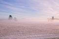 Morning winter landscape. Snow trees and frosty fog on the field. Royalty Free Stock Photo