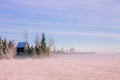 Morning winter landscape. Snow trees and frosty fog on the field. Royalty Free Stock Photo