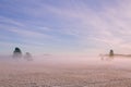 Morning winter landscape. Snow trees and frosty fog on the field. Royalty Free Stock Photo