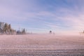 Morning winter landscape. Snow trees and frosty fog on the field. Royalty Free Stock Photo