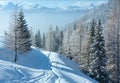 Morning winter misty mountain landscape