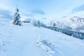 Morning winter mountain landscape Royalty Free Stock Photo