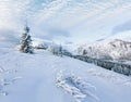 Morning winter mountain landscape Royalty Free Stock Photo