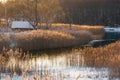 Morning Winter Rural Landscape: An Old Snow-Covered Abandoned House On The Bank Of A River Or Lake, Surrounded By A Beautiful Reed