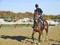 Morning Workouts at Belmont Park