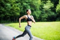 Morning of young fitness woman running outdoors in the park Royalty Free Stock Photo