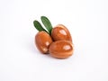 Moroccan Argan nuts with green leaves on white isolated background. Argan seeds, for the production of oil Royalty Free Stock Photo