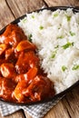 Moroccan beef stew with apples in tomato sauce served with rice closeup on a plate. vertical