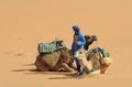 Moroccan Cameldriver Royalty Free Stock Photo