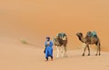 Moroccan Desert 10 Royalty Free Stock Photo