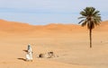 Moroccan Desert 12