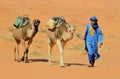 Moroccan Desert Royalty Free Stock Photo