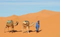 Moroccan Desert Scene Royalty Free Stock Photo