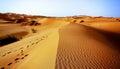 A moroccan desert scenery composed of sand dunes spreading to th