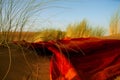 Moroccan desert scenery with desert grass plantation and ornametal red blanket, dunes on the horizon and neverending footsteps on Royalty Free Stock Photo