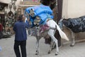 Man leading donkey through Medina of Fez