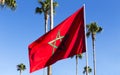 Moroccan flag flying amongst palm trees Royalty Free Stock Photo