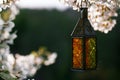 Moroccan glass and metal lanterns lamps with blossom cherry flo Royalty Free Stock Photo