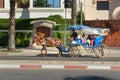 Moroccan Horse-drawn carriage in Essaouira. Morocco