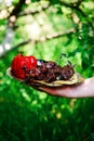 Moroccan lamb liver kebab on metallic plate