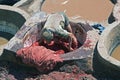 Moroccan man in tannery