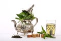 Moroccan mint tea Royalty Free Stock Photo