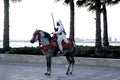 Moroccan Rider at sunset