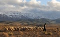 Moroccan Sheepherder 2