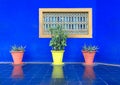 The Moroccan still life: two yellow flower pot of aloe on the background of blue wall with yellow window with bars