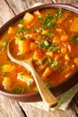 Moroccan Sweet Potato and Lentil Soup close-up on a plate. Vertical Royalty Free Stock Photo