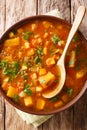 Moroccan Sweet Potato and Lentil Soup close-up on a plate. Vertical top view