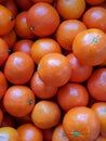 moroccan tangerines background