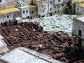 Moroccan Tannery Royalty Free Stock Photo