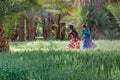 Moroccan women walking along the road with palm trees Royalty Free Stock Photo