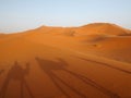 Camel caravan in the desert Royalty Free Stock Photo