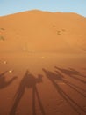 Camel caravan in the desert Royalty Free Stock Photo