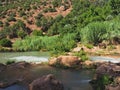 Tropical El-Abid river in Morocco Royalty Free Stock Photo