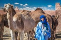 Morocco attractions editorial Royalty Free Stock Photo