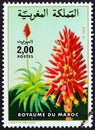 MOROCCO - CIRCA 1984: A stamp printed in Morocco from the `Flowers` issue shows Aloe sp., circa 1984.