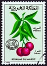 MOROCCO - CIRCA 1984: A stamp printed in Morocco shows cherries, circa 1984.