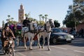 MOROCCO, ESSAOUIRA - 22 JAN 2019: Transport horse and taxi in Morocco Asila