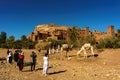 Morocco. A group of tourists take pictures of camels in front of the village of Ait Benhaddou
