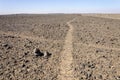 Morocco, Hamada du Draa, path crossing Royalty Free Stock Photo