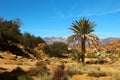 Morocco landscape contrast with palm trees