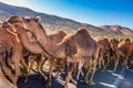 Morocco main attractions Royalty Free Stock Photo