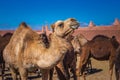 Morocco main attractions Royalty Free Stock Photo