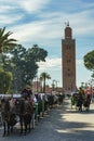 Morocco. Marrakesh. Carriages for tourists with the Koutoubia minaret in the background