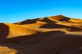 Morocco. Merzouga. Sand dunes of Sahara desert under a blue sky