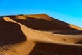 Morocco. Merzouga. Sand dunes of Sahara desert under a blue sky